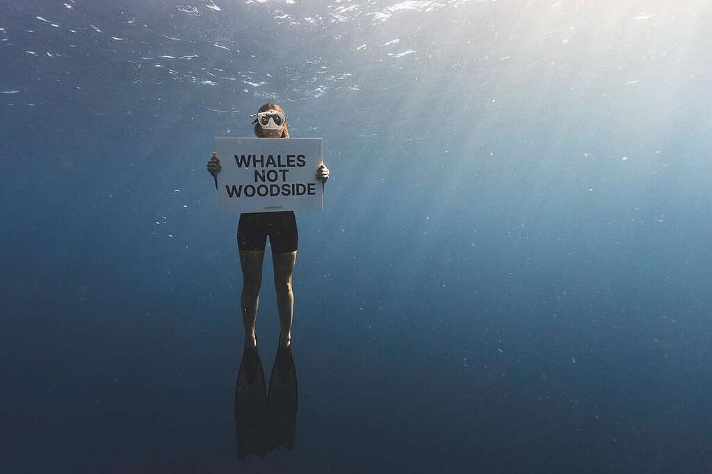 Whales not Woodlands Sign in Gascoyne Marine Park, Western Australia. ©  / Greenpeace