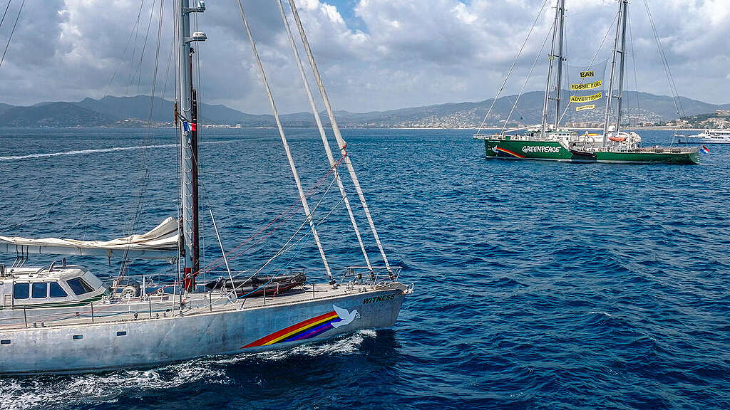 Rainbow Warrior III and Witness ships in Cannes harbour. © Rasmus Törnqvist / Greenpeace