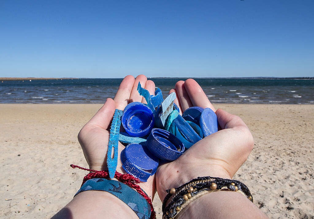 Beach Clean Up  Activity in Sydney. © Conrad Wegener / Greenpeace