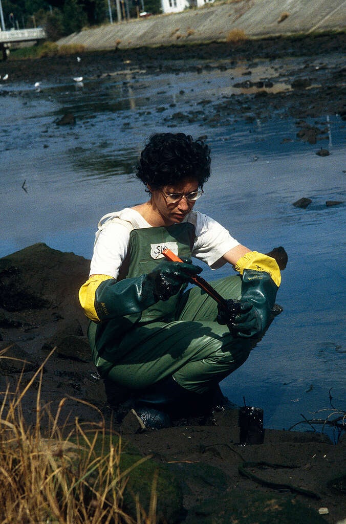 Greenpeace scientist taking oil samples from a waterway in Hobart, Australia.