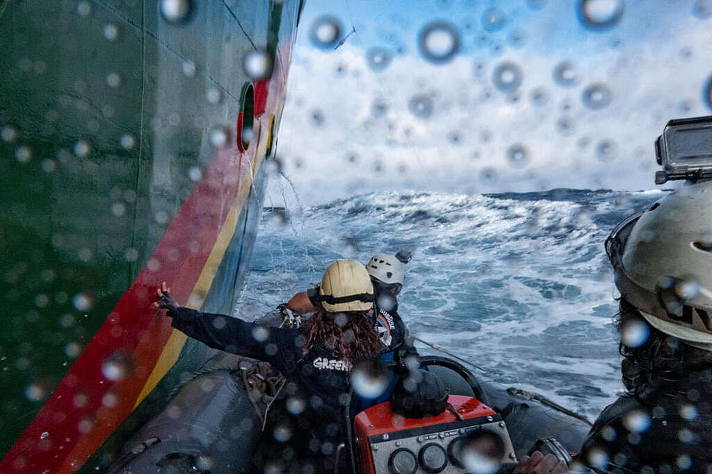 Activists Free Marine Life in the North Atlantic. © Pedro Armestre / Greenpeace