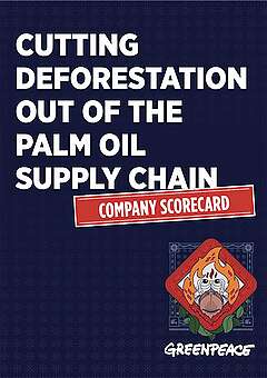 Greenpeace report: Cutting deforestation out of the palm oil supply chain