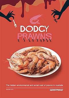 Greenpeace report: The hidden environmental and social cost of prawns in Australia.