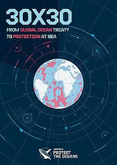 Greenpeace Report: 30×30 From Global Ocean Treaty to Protection at Sea