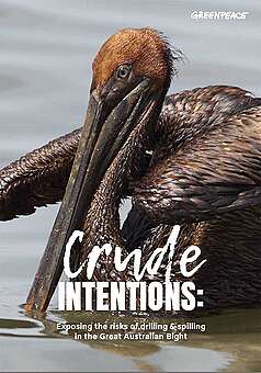 Greenpeace report - Crude Intentions