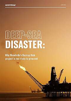 Greenpeace Report: Deep-Sea Disaster Woodsides Burrup Hub project is too risky to proceed