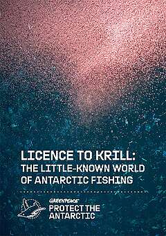 Greenpeace report: The little-known world of Antarctic fishing