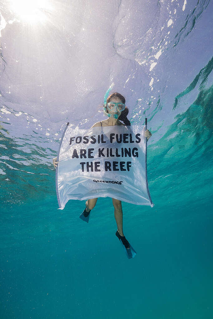 Divers with Danger Sign Underwater on the Great Barrier Reef in Australia. © Greenpeace / Grumpy Turtle / Harriet Spark