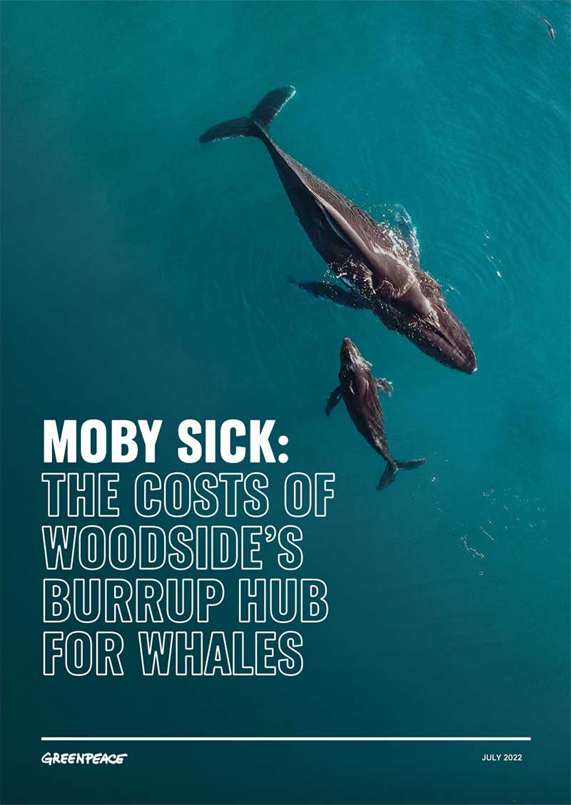 Greenpeace Report - Moby Sick, The Costs of Woodside’s Burrup Hub for Whales