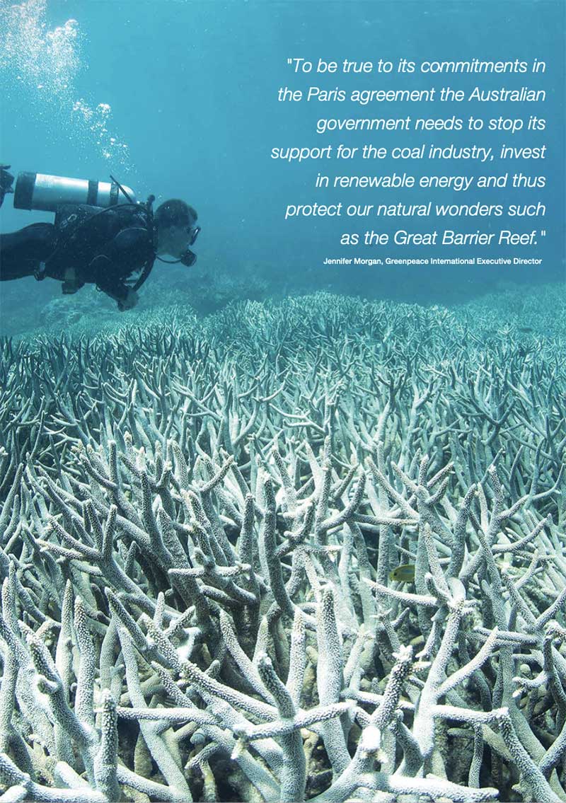 Greenpeace report: Exporting climate change, killing the Reef