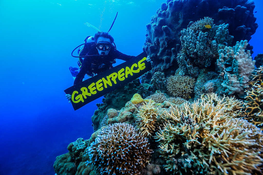 Scuba diver pictured holding up Greenpeace banner next to a coral reef on the Great Barrier Reef.