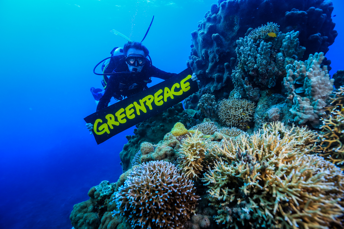 CourageWorks Campaign Dive in the Great Barrier Reef. © Gary Farr / Greenpeace