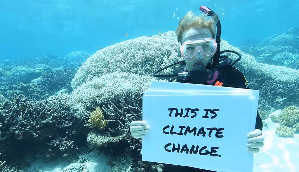 Great Barrier Reef Mass Coral Bleaching Event. © Dean Miller / Greenpeace