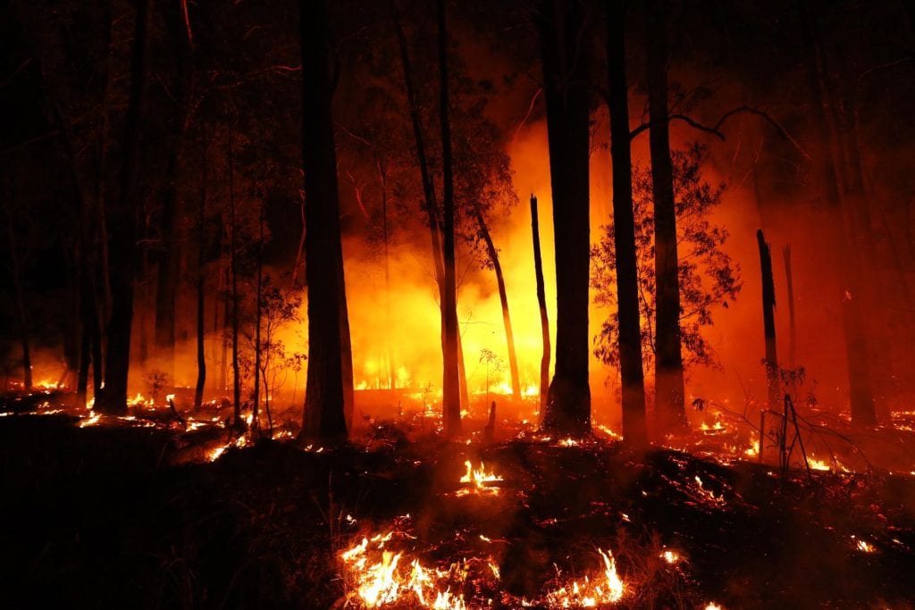 Bushfires at night outside the town of Mallacoota in January 2020. 