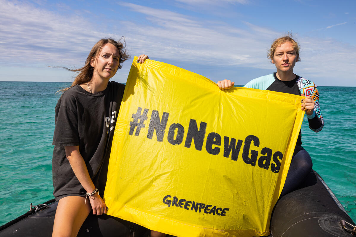 No New Gas Banner in Shark Bay, Australia. © Harriet Spark / Grumpy Turtle Film / Greenpeace