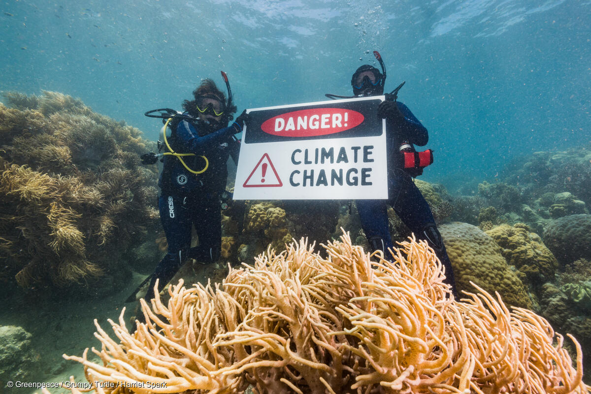 Divers with Danger Sign Underwater on the Great Barrier Reef in Australia|Global Climate Strike in CologneGlobaler Klimastreik in Koeln|Demonstration to Protect LützerathDemonstration um Lützerath zu schützen