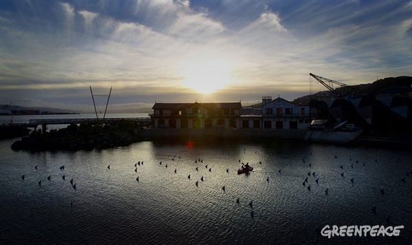 'Sharks' in Wellington