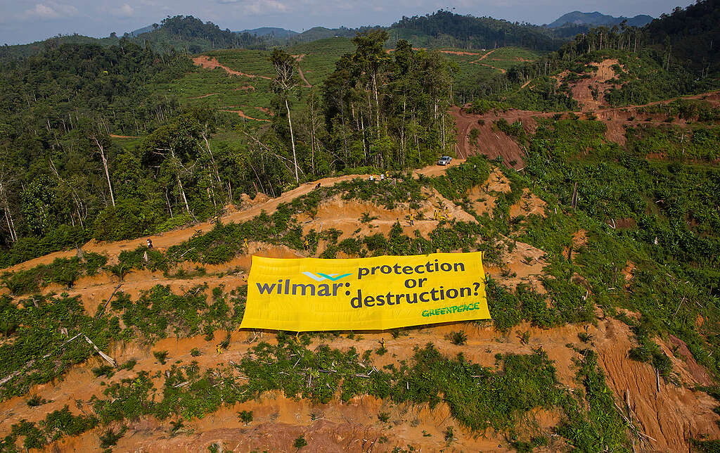 Banner at Wilmar Palm Oil Concession in Sumatraia. © Paul Hilton / Greenpeace