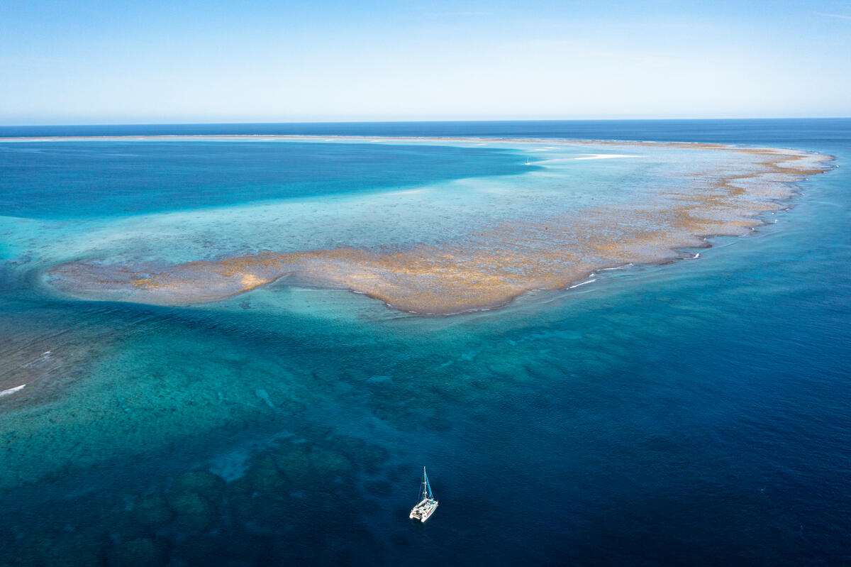 Aerial View of Scott Reef in Australia. © Alex Westover / Greenpeace