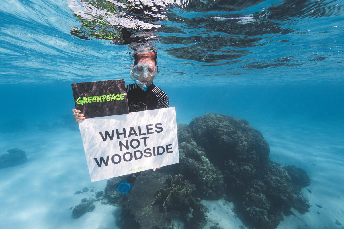 'Whales Not Woodside' Sign Underwater on Ningaloo Reef. © Lewis Burnett / Greenpeace