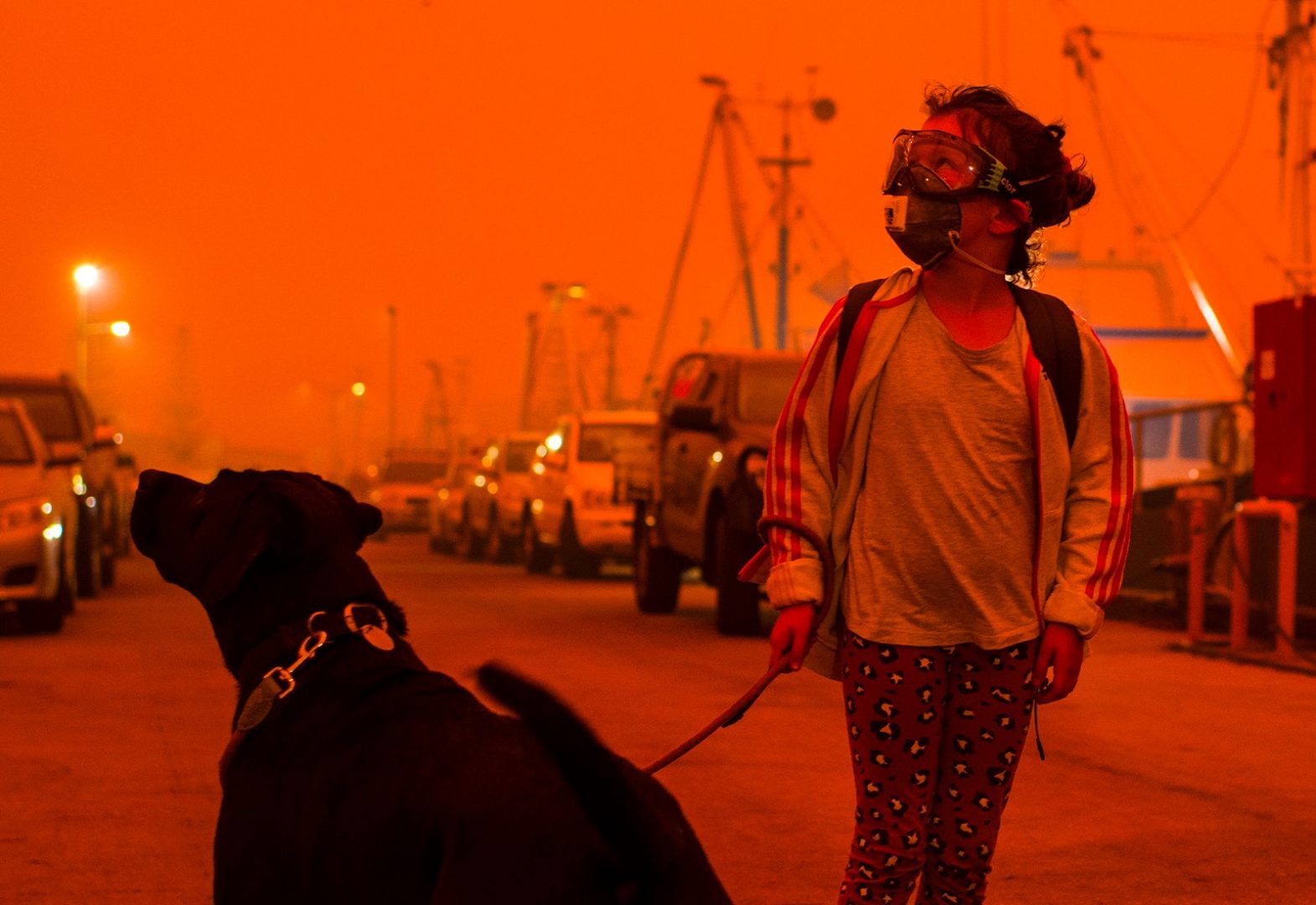 Girl in Mask Walking Dog