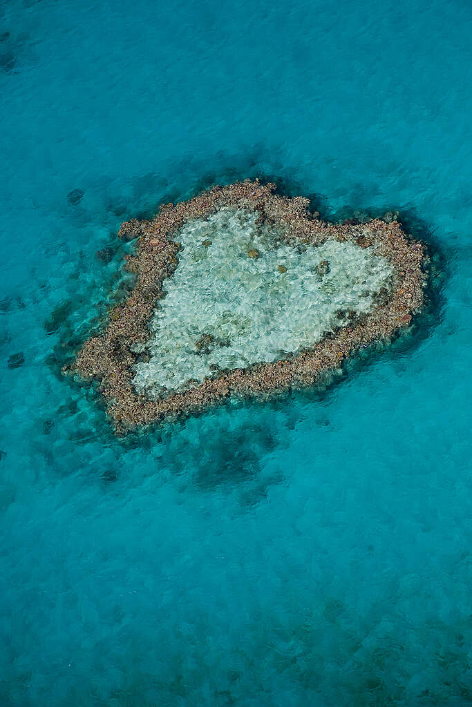 Great Barrier Reef Aerials. © Michael Amendolia / Greenpeace