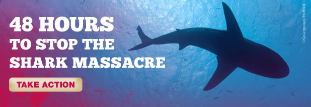 14-002-OCN-EMAIL-Shark-Cull