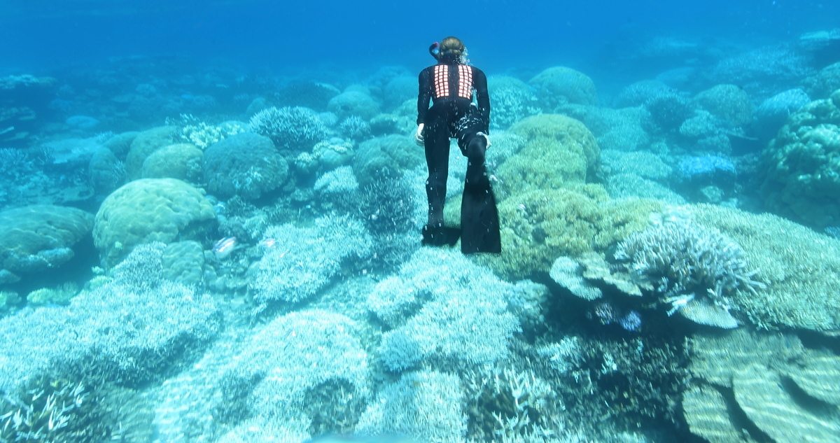 Great Barrier Reef Mass Coral Bleaching Event