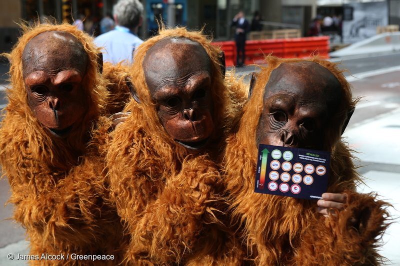 Petition Delivery to PepsiCo, Colgate-Palmolive and Johnson & Johnson in Sydney