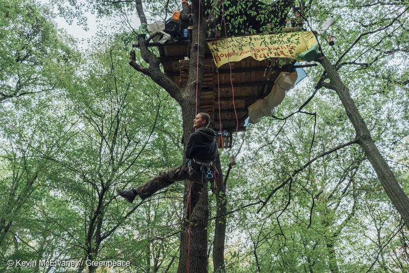  Greenpeace activists in Hambach Forest © Kevin McElvaney/Greenpeace