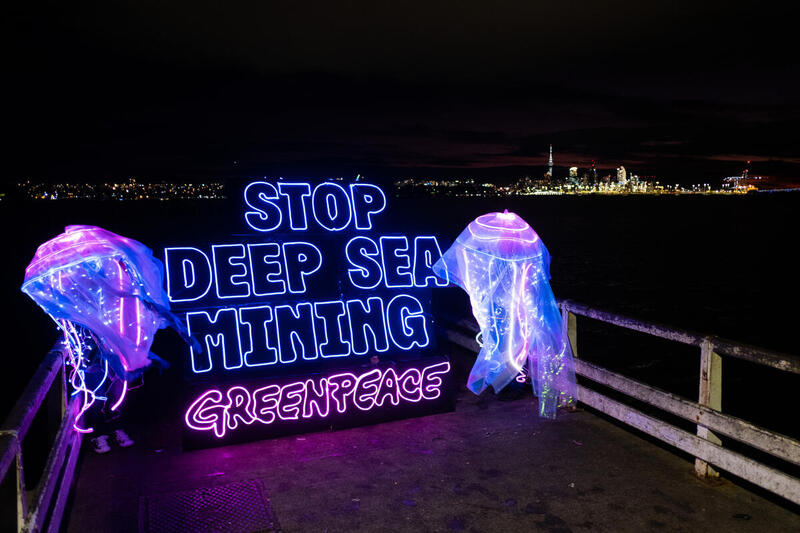 Global Day of Action For World Oceans Day in New Zealand|Action Lights up Island in Ottawa to Oppose Deep Sea Mining