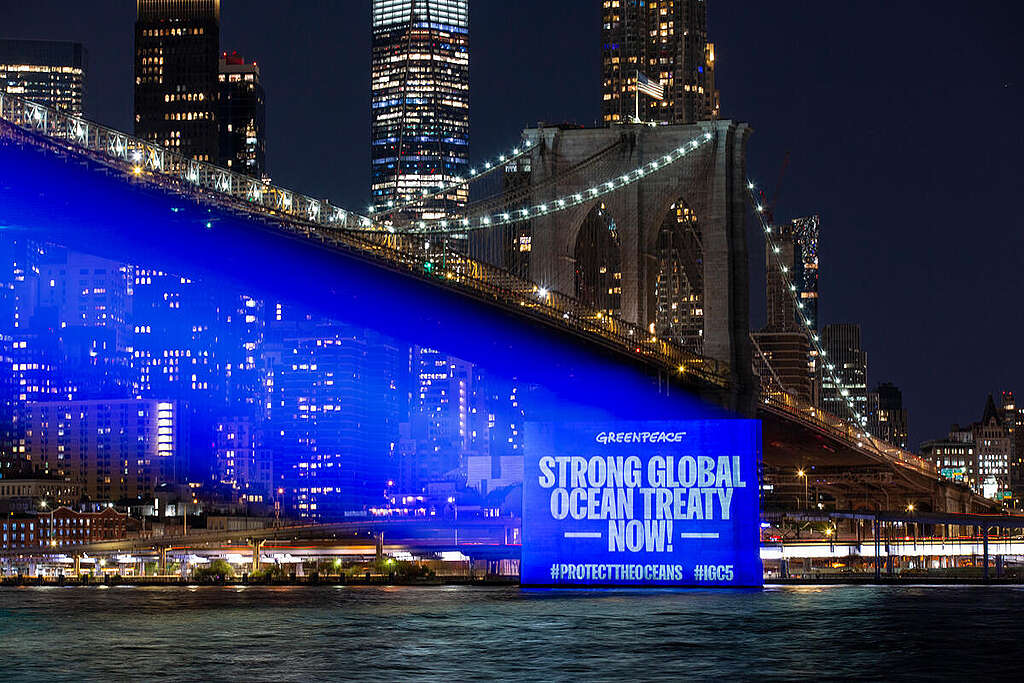 Protect the Oceans Projection onto Brooklyn Bridge. ©  POW / Greenpeace