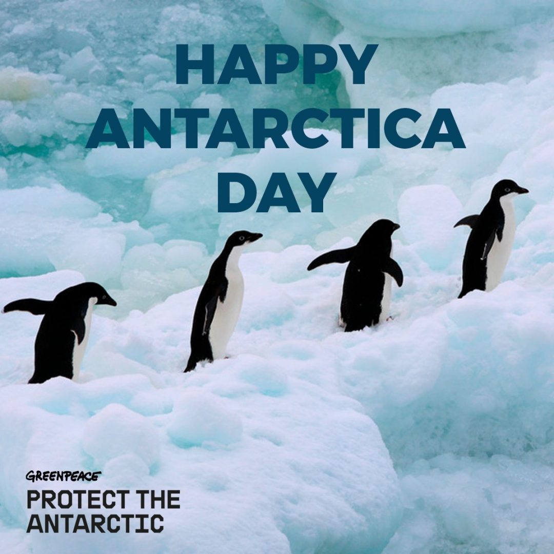 Antarctica-Day_blog-1050x1050