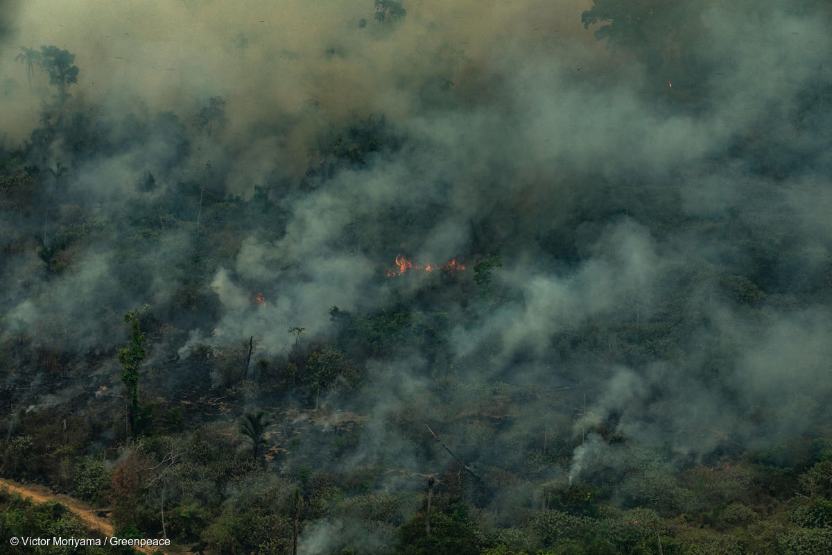 ALTAMIRA, PARÁ, BRAZIL: Aerial image of burnings in Serra do Cachimbo, REBIO (Biological Reserve) in Altamira, Pará State. (Photo: Victor Moriyama / Greenpeace)