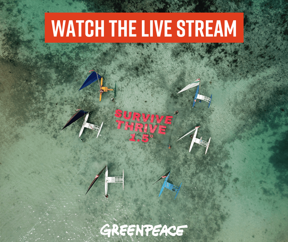 Photo_ Genevieve French Greenpeace (10)