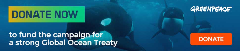 Donate now will help fund the campaign for a strong Global Ocean Treaty