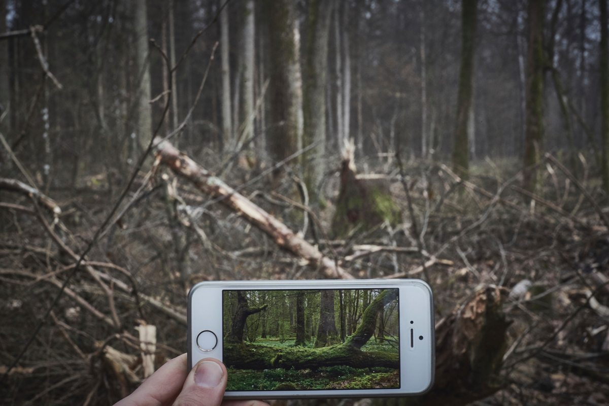 Białowieża Forest in Poland|Screen Shot 2018-03-23 at 4.44.22 PM|Screen Shot 2018-03-23 at 4.44.29 PM|Screen Shot 2018-03-23 at 4.44.36 PM|Screen Shot 2018-03-23 at 4.44.50 PM|Screen Shot 2018-03-23 at 4.44.57 PM|Screen Shot 2018-03-23 at 4.45.11 PM|Screen Shot 2018-03-26 at 2.32.01 PM|Screen Shot 2018-03-26 at 2.38.20 PM|Screen Shot 2018-03-26 at 2.47.20 PM