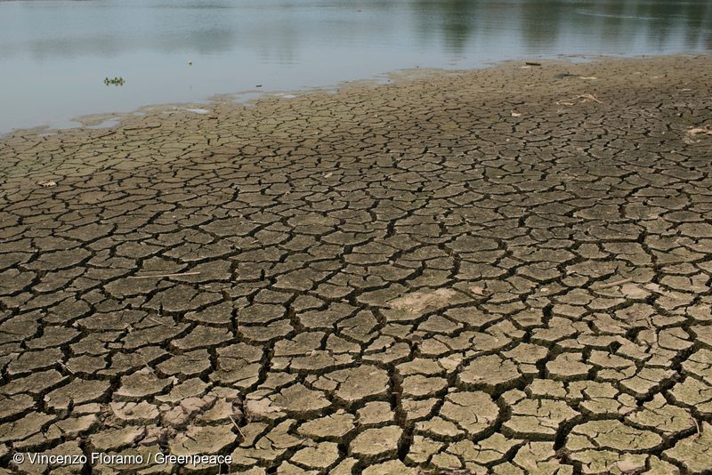 El Niño Impacts in Northern Thailand