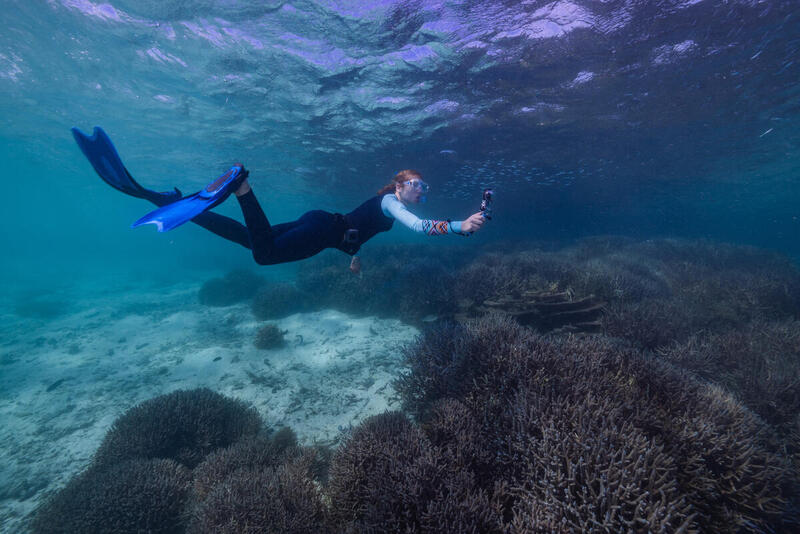 Coral Reef at Abrolhos Islands|shipwreck at the abrolhos