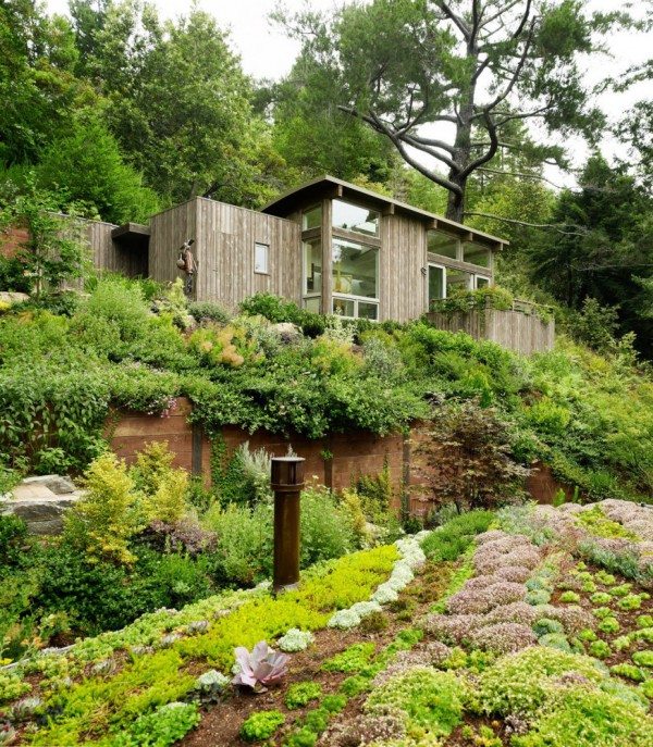 Mill Valley Cabins rooftop gardens, California, USA