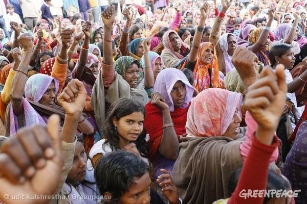 Community fighting to save an ancient forest