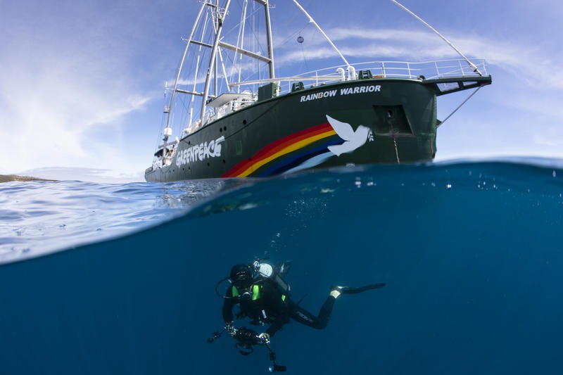 Diver with the Rainbow Warrior in the Great Australian Bight|A Harlequin fish in the Great Australian Bight|A Harlequin fish in the Great Australian Bight|Two divers with a People Vs Oil banner underwater in the Great Australian Bight|Clown nudibranch in the Great Australian Bight|Southern Blue Devil in the Great Australian Bight|Dorid nudibranch in the Great Australian Bight|Gorgonian Fans and Sponges in the Great Australian Bight|Gorgonian Fans and Sponges in the Great Australian Bight|2|890-screen-shot-2018-09-04-at-8-34-08-am-png|Two divers with a People Vs Oil banner underwater in the Great Australian Bight|Diver prepares in the Great Australian Bight|Divers exploring the Great Australian Bight|Decorator Crab in the Great Australian Bight|Divers exploring the Great Australian Bight