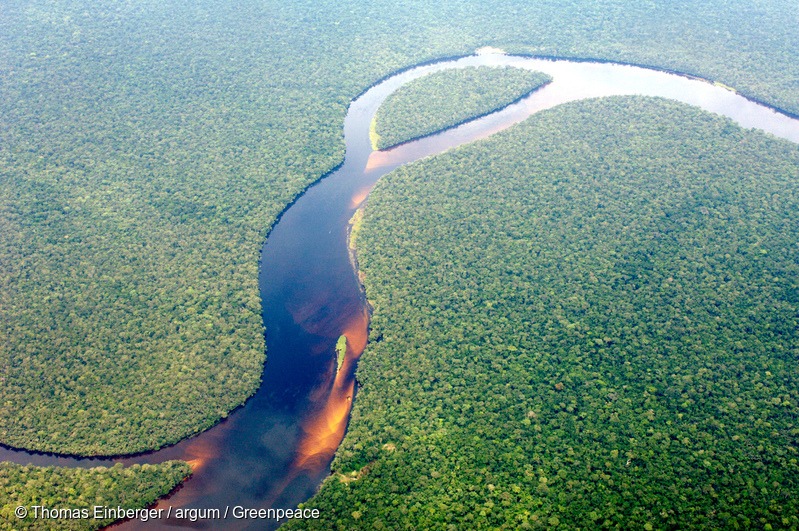 Congo Rainforest