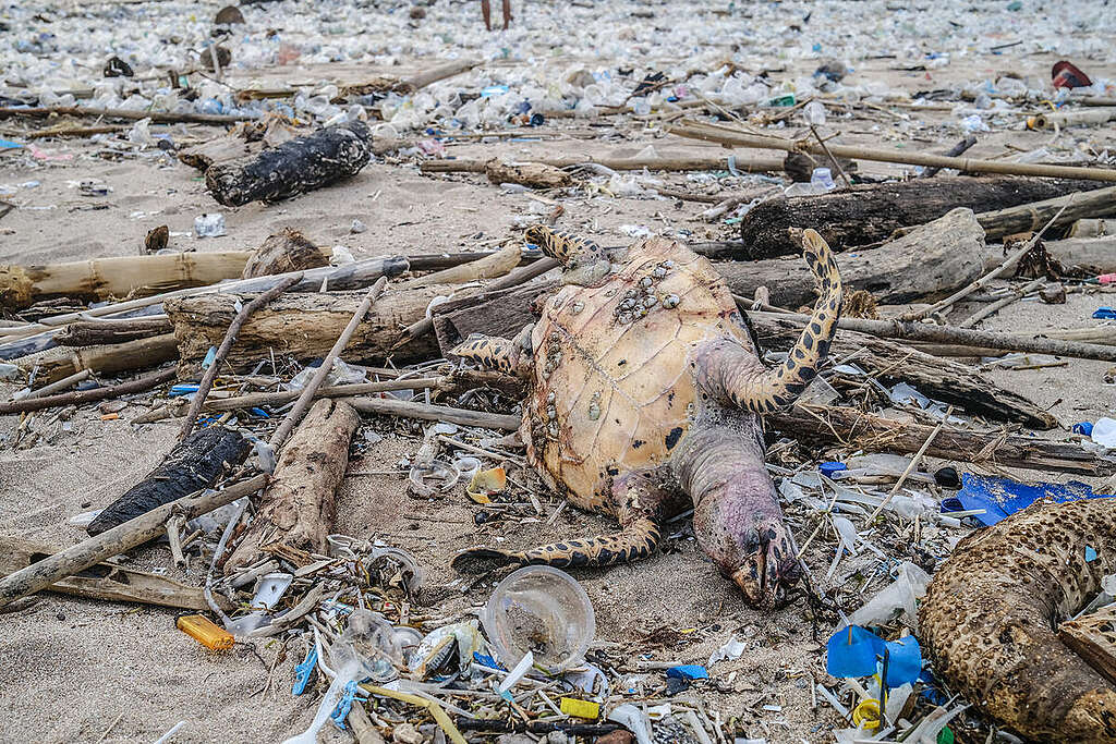 Plastic Trash at Bali's Kuta Beach. © Made Nagi / Greenpeace