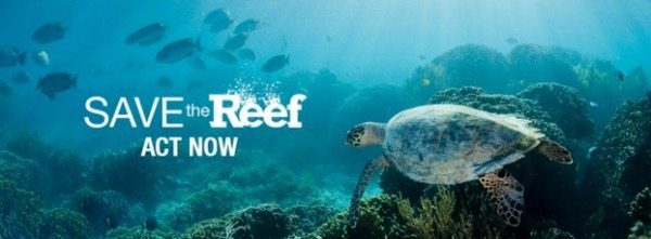 SAVETHEREEF ACT NOW RESIZE