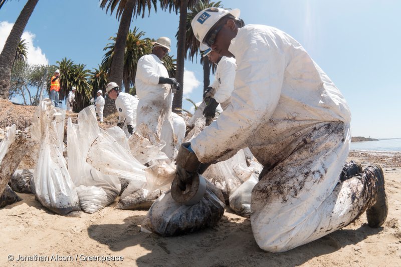 Activists Clean up Californian Oil Spill