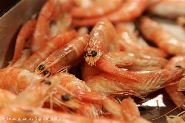 Prawns in supermarket