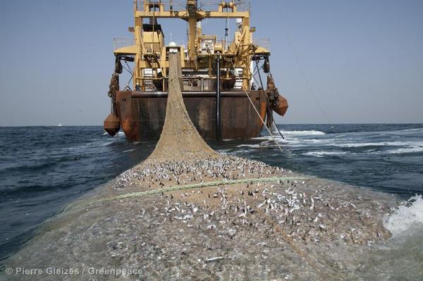 The Afrika Super Trawler