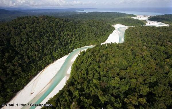 An aerial view of the Bairaman river and surrounding forest in West Pomio district, East New Britain province, Papua New Guinea, 23rd October 2011