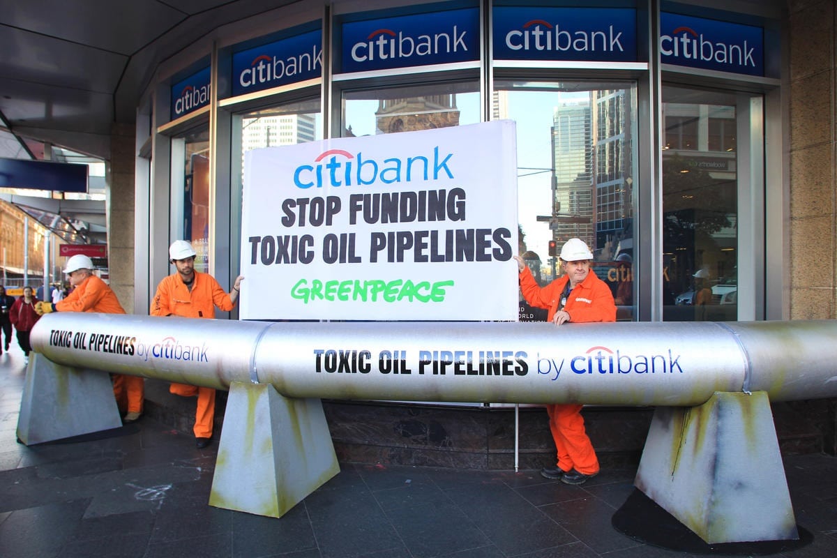 Activists in Sydney install pipeline at Citibank|Activists in Sydney install pipeline at Citibank|Pacific pipelines gif